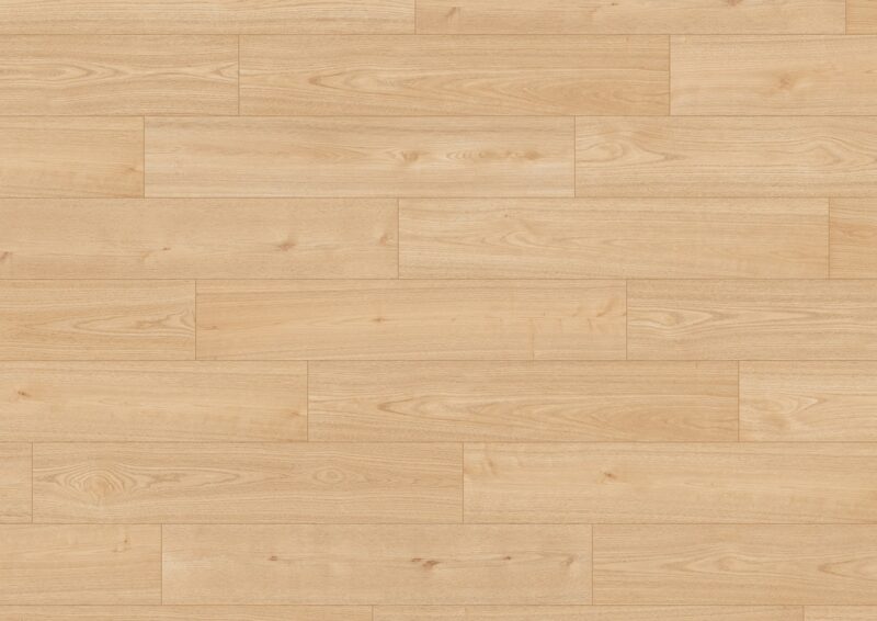 avatara chestnut rana VA50409