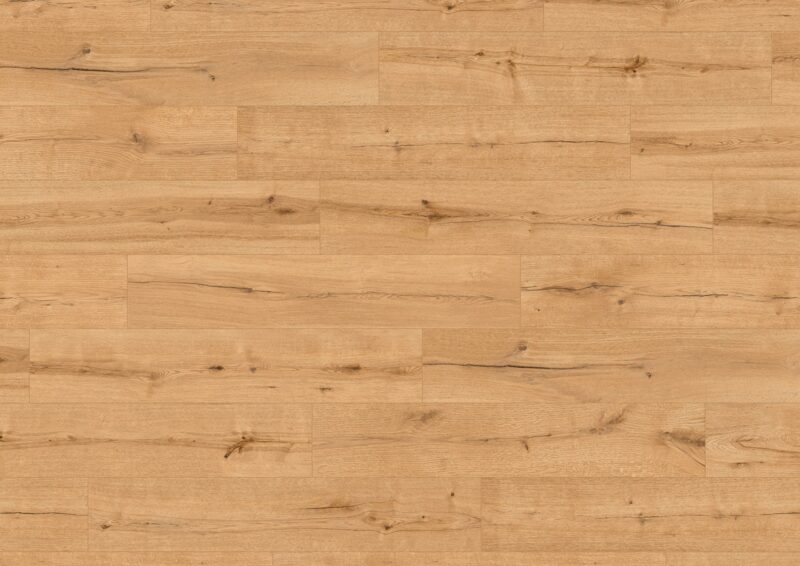 grindys avatara oak kuma VA50408